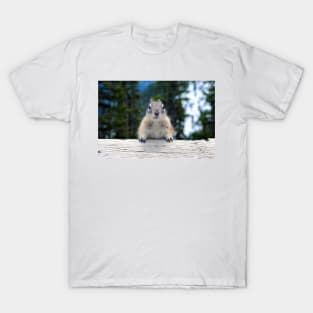 Chipmunk in Banff Alberta in Canada T-Shirt